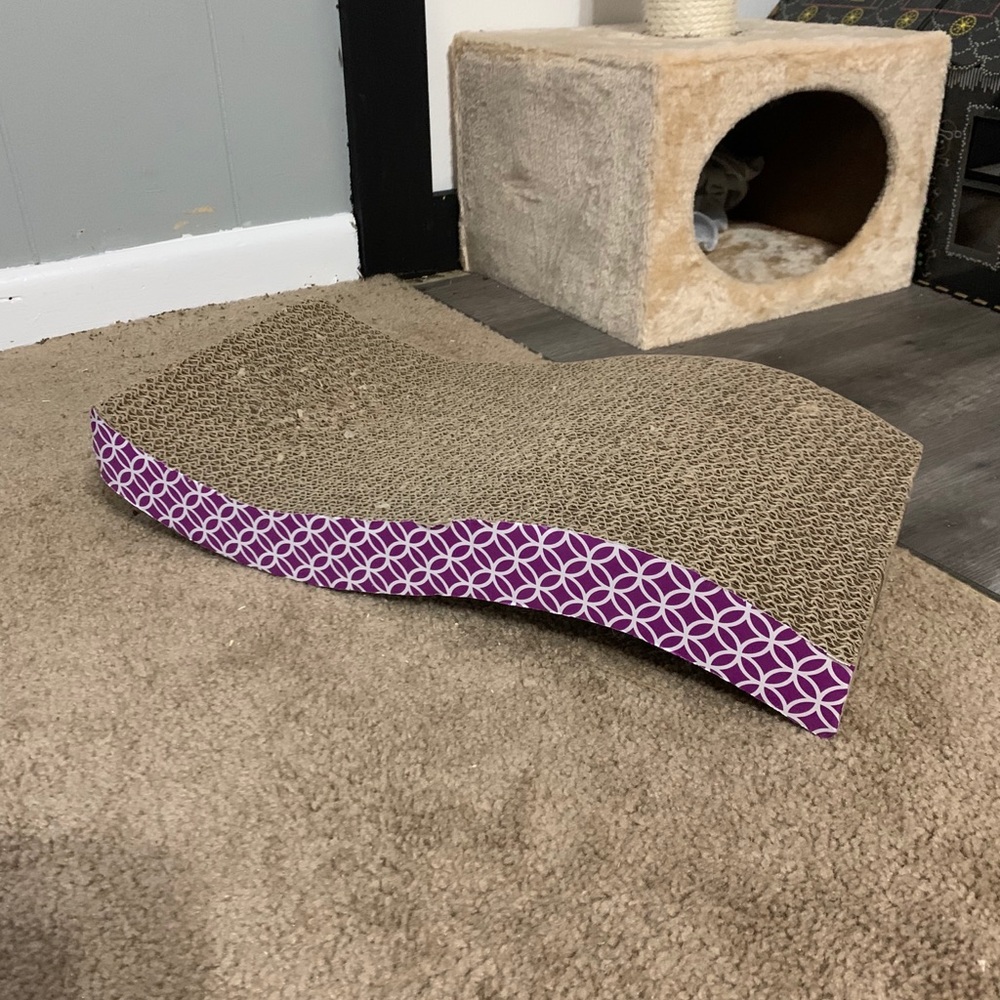 Cat toy